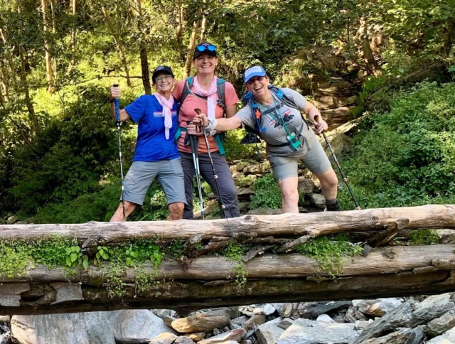 Three people with hiking gear stand on a log bridge in a forest.