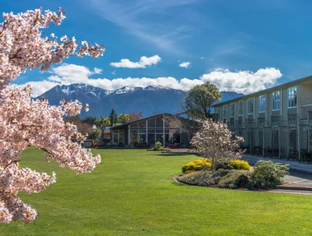 A lush green lawn with blooming cherry blossoms in the foreground, a modern building on the right, and snow-capped mountains under a blue sky in the background.