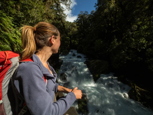 A person with a red backpack stands on a bridge, looking at a rushing river surrounded by lush green forest.