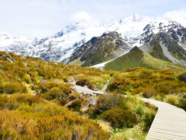 A wooden walkway winds through lush green shrubs leading to snow-capped mountains under a clear sky.