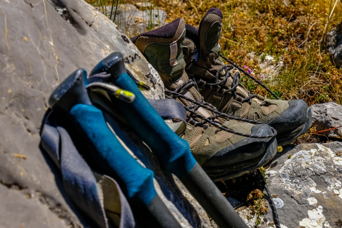 Hiking boots and walking poles resting on rocky terrain with dry grass and small flowers in the background.