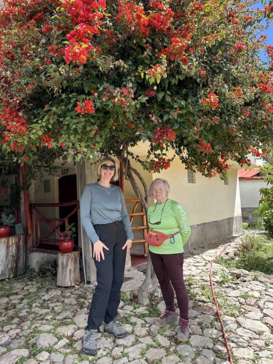 Two people stand on a cobblestone path under a tree with red flowers in front of a house. One wears a green shirt, the other a blue one.