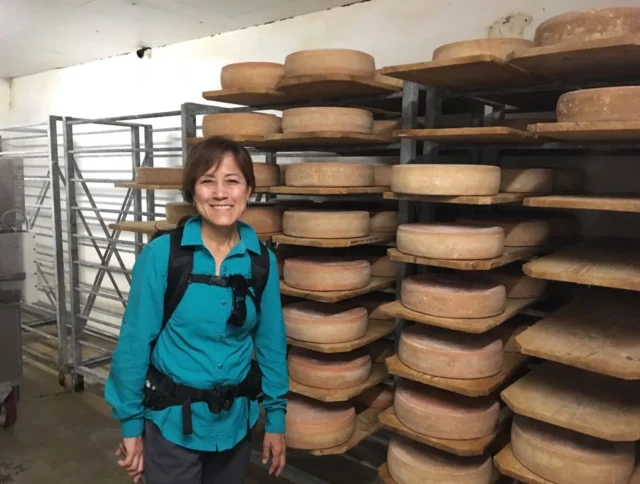 Person standing beside shelves stacked with round cheese wheels in a storage room.