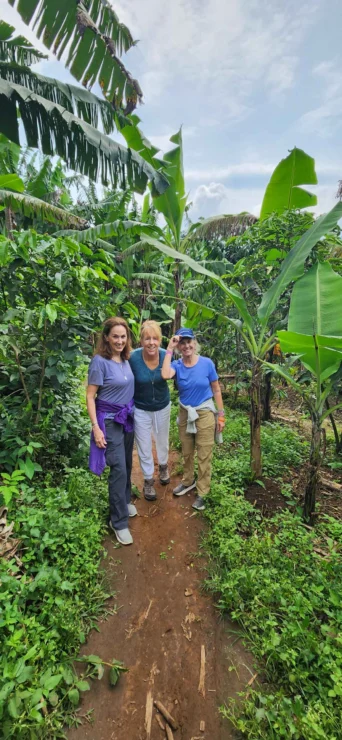 Three people stand on a narrow path surrounded by lush green banana plants and foliage.