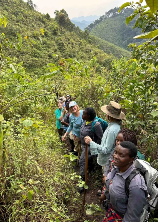 A group of hikers walking through dense greenery on a narrow trail in a mountainous area, using walking sticks for support.