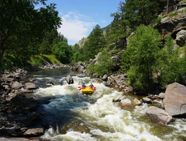 A group of people is white-water rafting on a rocky river surrounded by trees and hills under a clear blue sky.