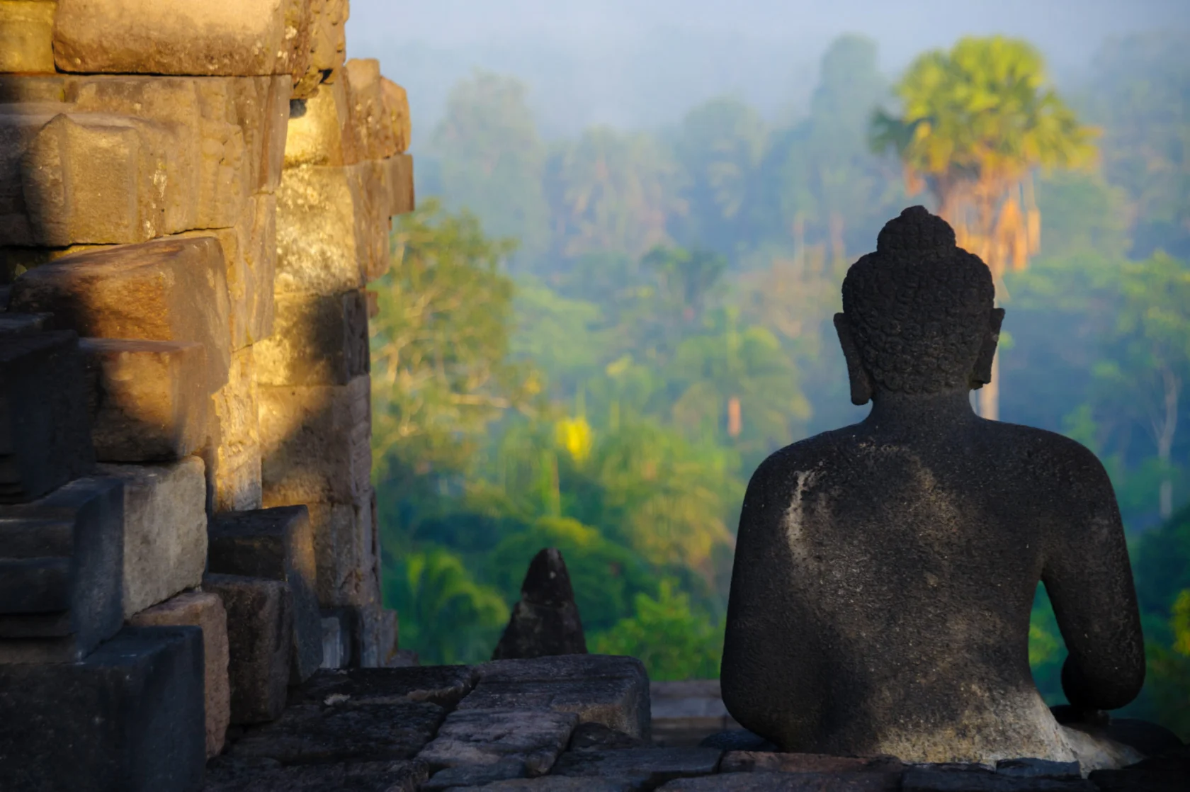 A stone Buddha statue faces a lush, misty landscape at sunrise, with trees and greenery visible in the background.