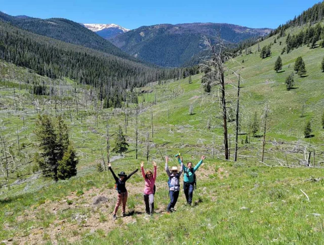 Four people stand with raised arms in a green mountainous landscape with scattered trees under a clear blue sky.