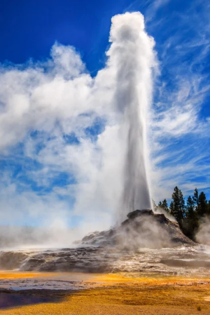 A geyser erupts under a bright blue sky, surrounded by steam and mineral deposits, with trees in the background.