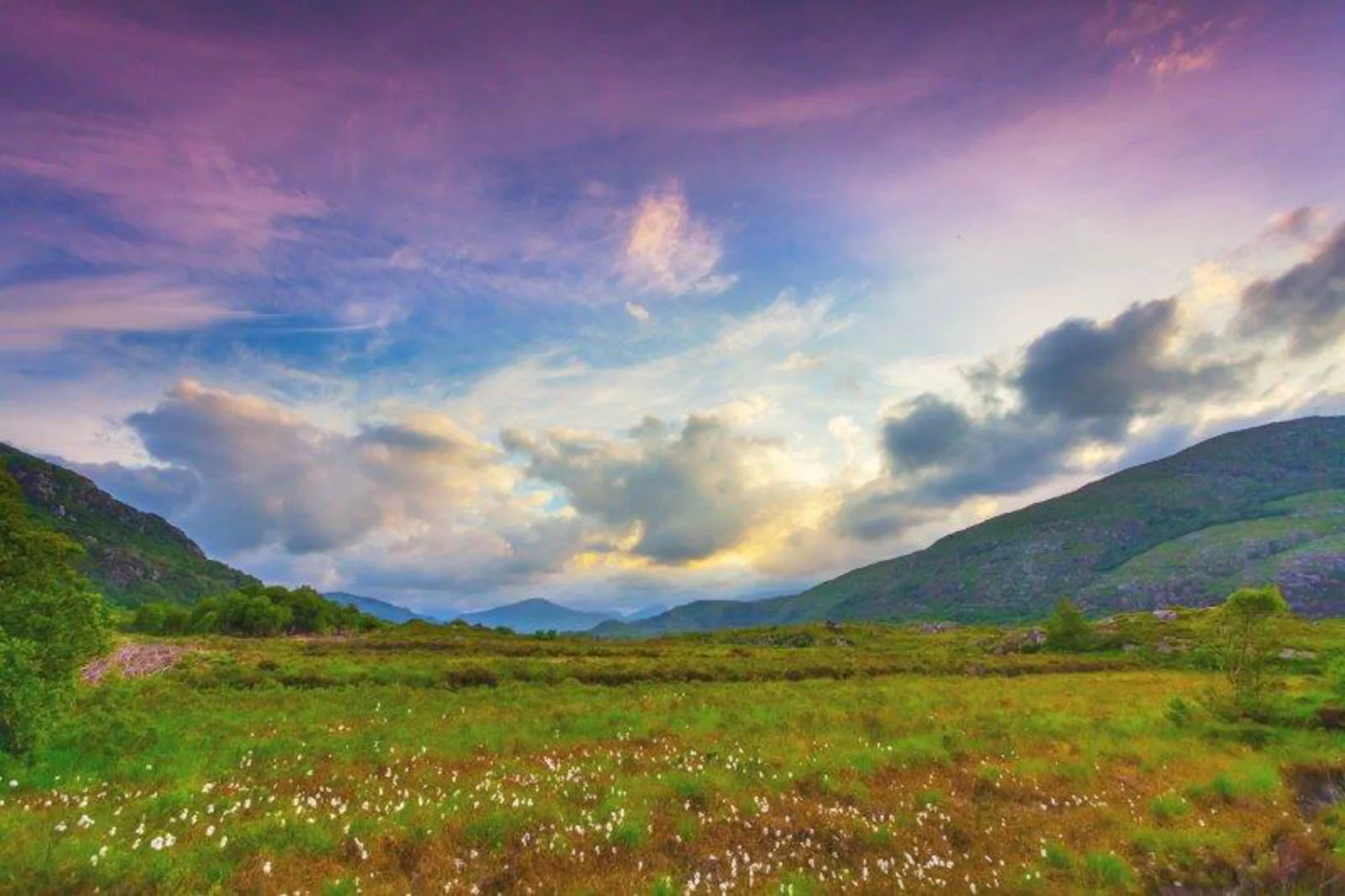 A vibrant landscape with a green field of wildflowers under a dramatic sky of purple and blue hues, flanked by rolling hills.