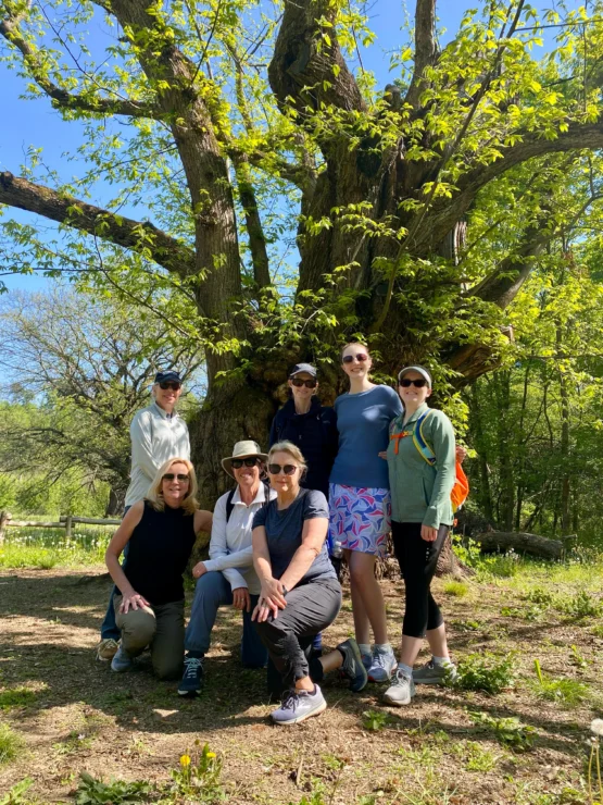 A group of seven women pose for a photo in front of a large, leafy tree on a sunny day outdoors.