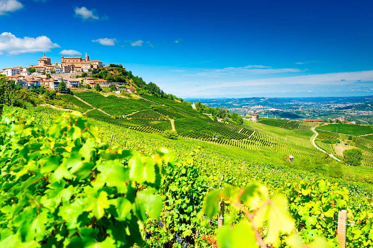 A green landscape in Italy.