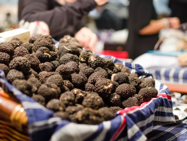 Basket filled with fresh black truffles, displayed on a striped cloth at a market.