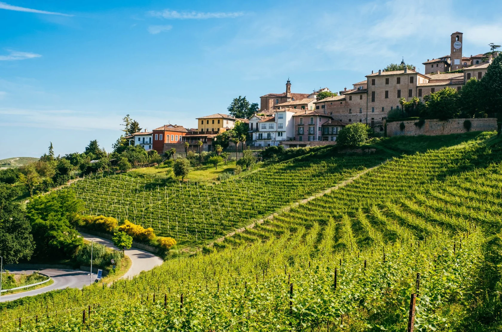 A scenic hillside vineyard with a winding road and a cluster of rustic buildings under a clear blue sky.