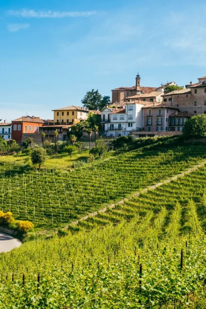 A scenic hillside vineyard with a winding road and a cluster of rustic buildings under a clear blue sky.