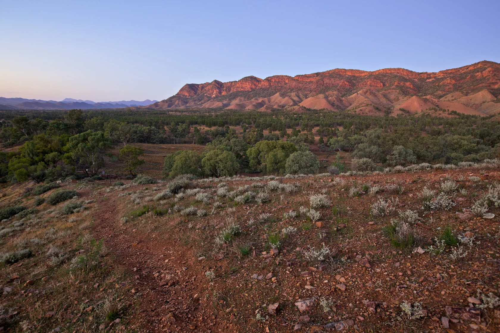 Landscape view of a rocky path leading to green shrubs and trees, with a mountain range in the background under a clear sky.