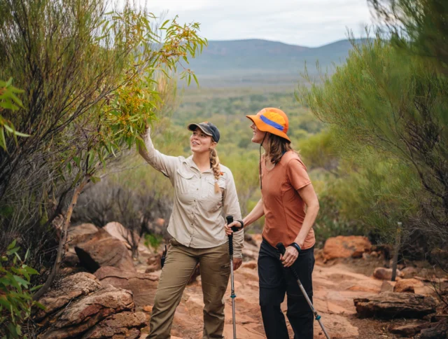 Two people hike on a rocky trail, surrounded by bushes, with one pointing at a plant. They use walking poles and wear outdoor gear.