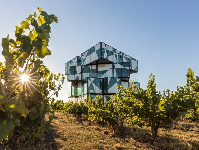 Geometric glass building surrounded by vineyards under a clear blue sky with sunlight peeking through the vines.