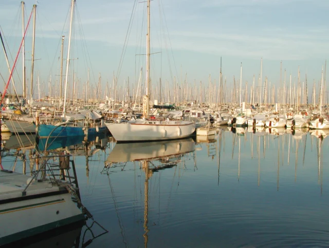 A marina filled with numerous sailboats and yachts, with calm water reflecting the boats and masts under a clear sky.