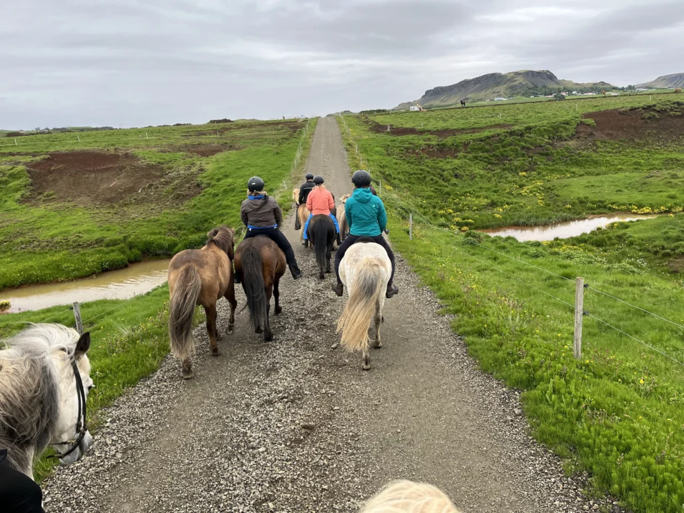 A group of people on horseback ride along a gravel path through a lush green landscape under a cloudy sky.