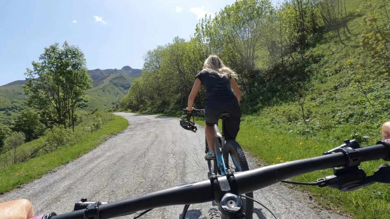 Two people cycling on a scenic, tree-lined mountain road under a clear blue sky.