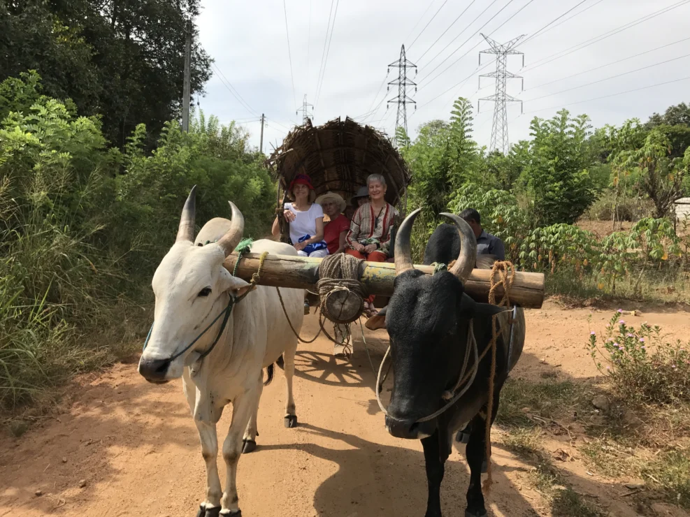 Two oxen pull a cart on a dirt path with three smiling passengers sitting inside. Power lines and greenery are visible in the background.