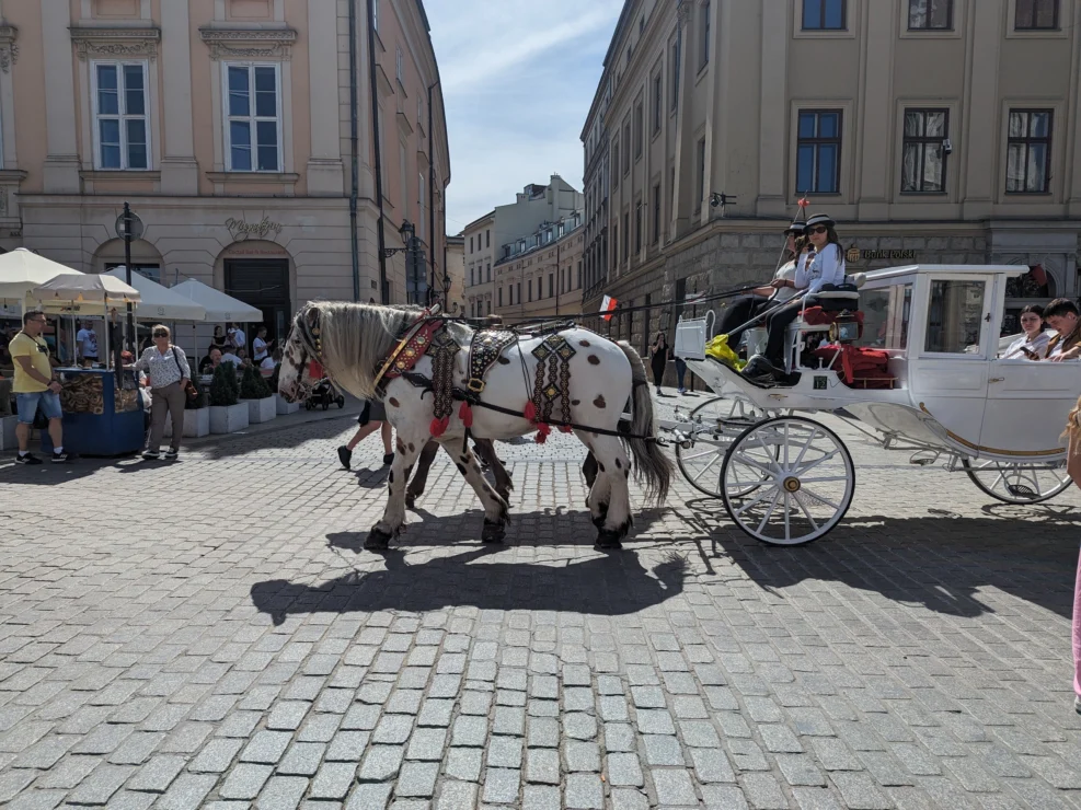 A white horse-drawn carriage with two horses is moving on a cobblestone street in a city with historic buildings and pedestrians nearby.