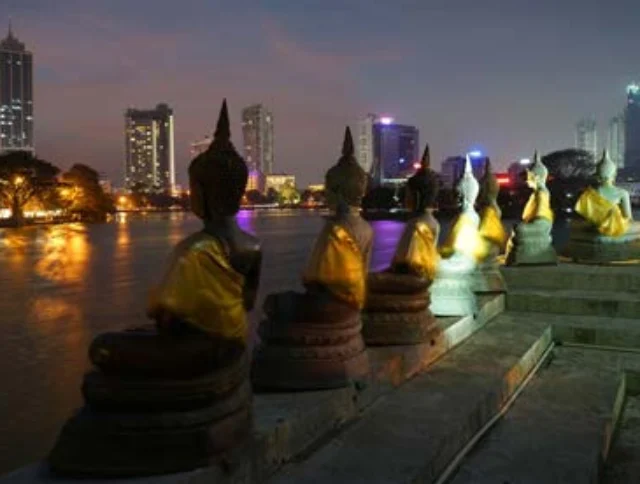 Row of Buddha statues facing a city skyline across a river at night, with buildings lit up in the background.