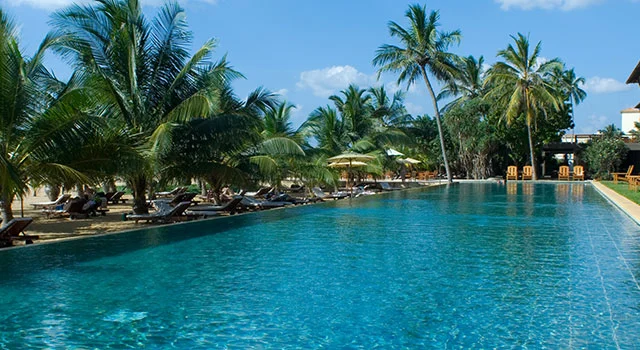 A long, rectangular pool surrounded by lounge chairs and palm trees at a resort under a clear blue sky.