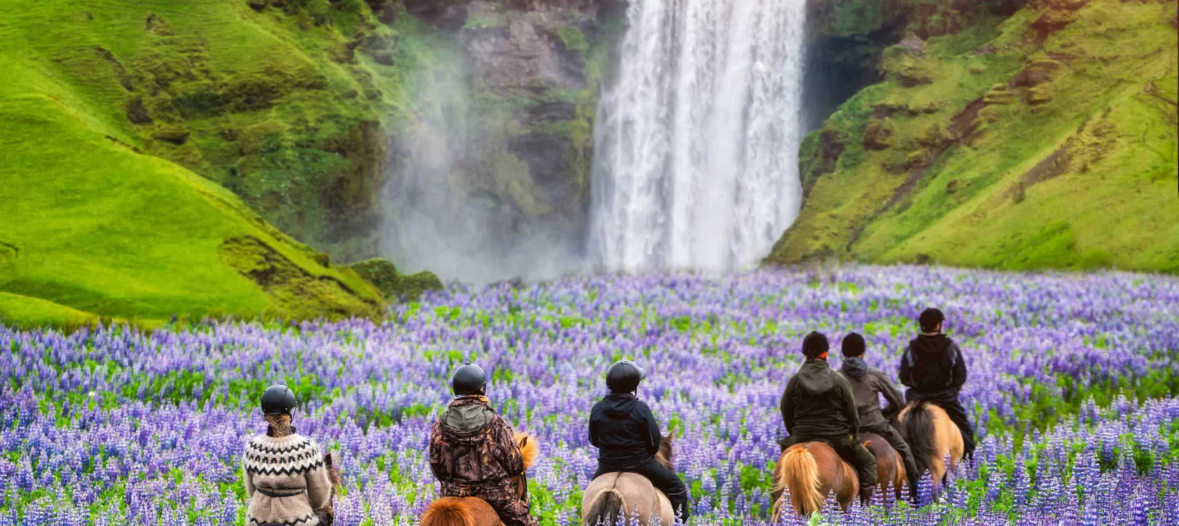 Five people on horseback ride through a field of purple lupines toward a waterfall in a lush green landscape.