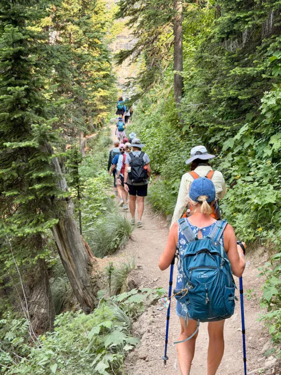 A group of hikers with backpacks and trekking poles walk in single file along a dirt trail through a forested area.