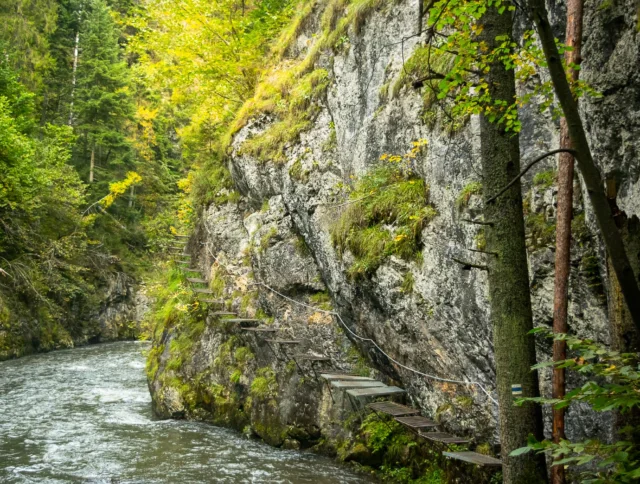 A narrow path with wooden steps is built into a steep rock wall above a flowing river, surrounded by dense green forest.