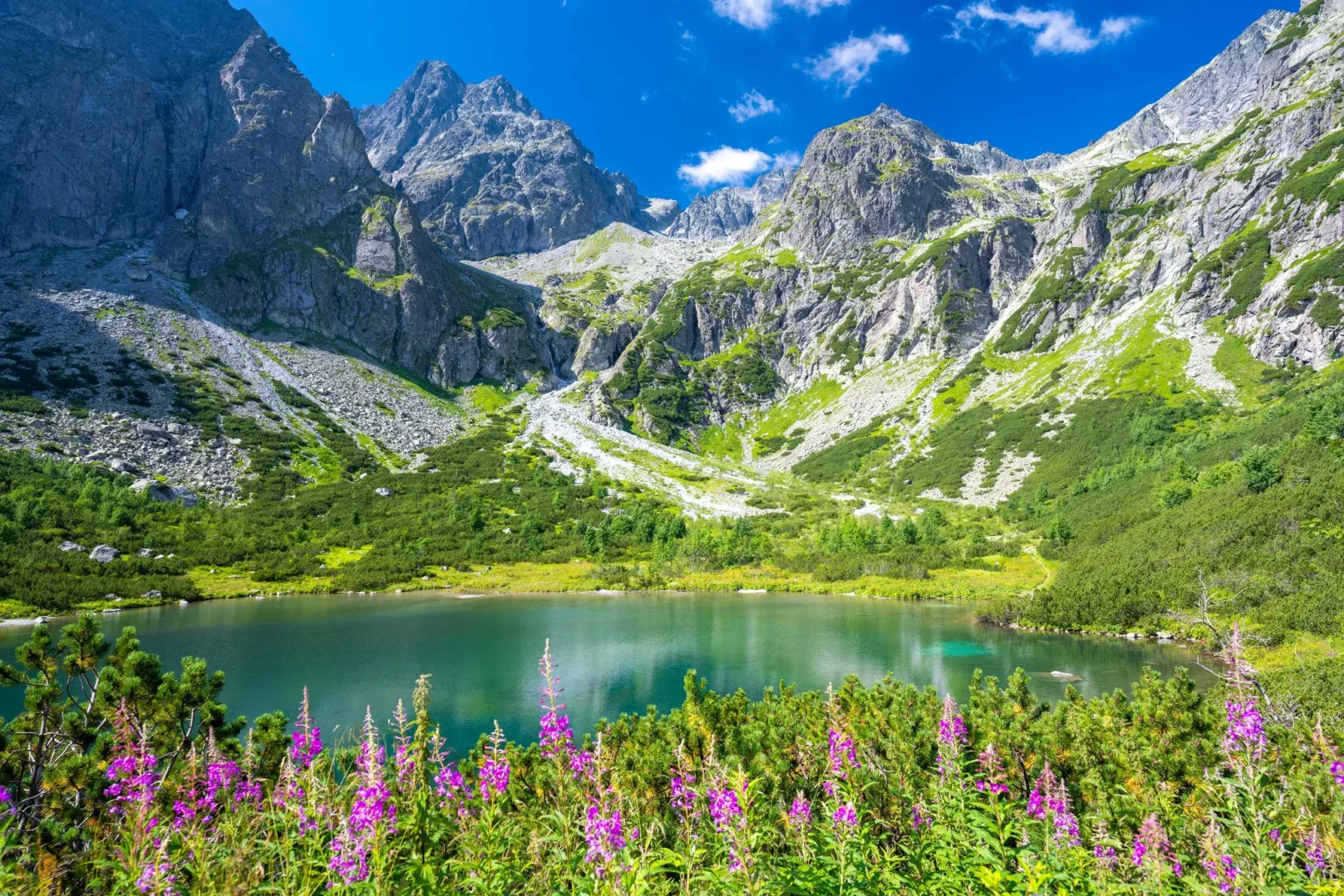 Mountain lake surrounded by rocky peaks, green slopes, and wildflowers in the foreground under a clear blue sky.