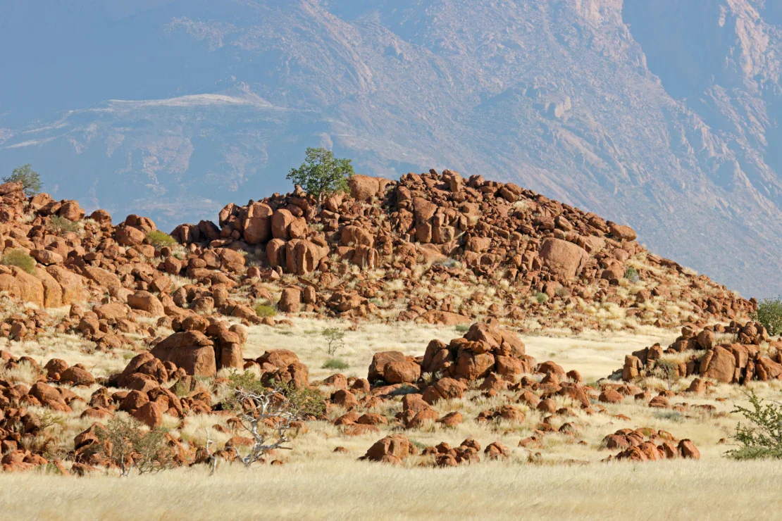 Rocky terrain with scattered shrubs and grasses, featuring reddish boulders in the foreground and a mountain backdrop.