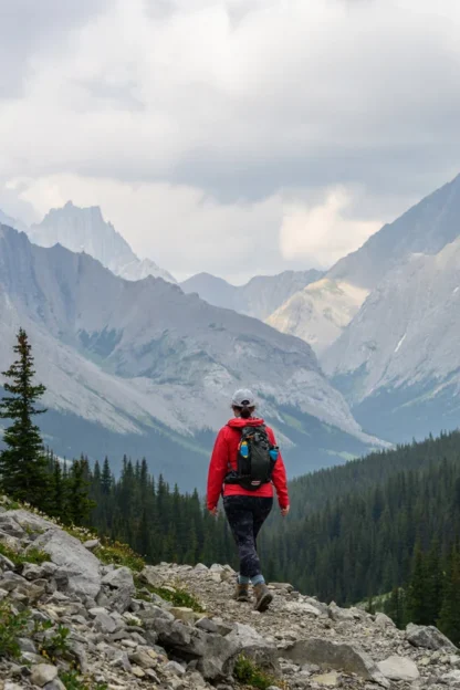A person wearing a red jacket and backpack hikes on a rocky trail through a mountainous landscape with pine trees and cloudy skies.