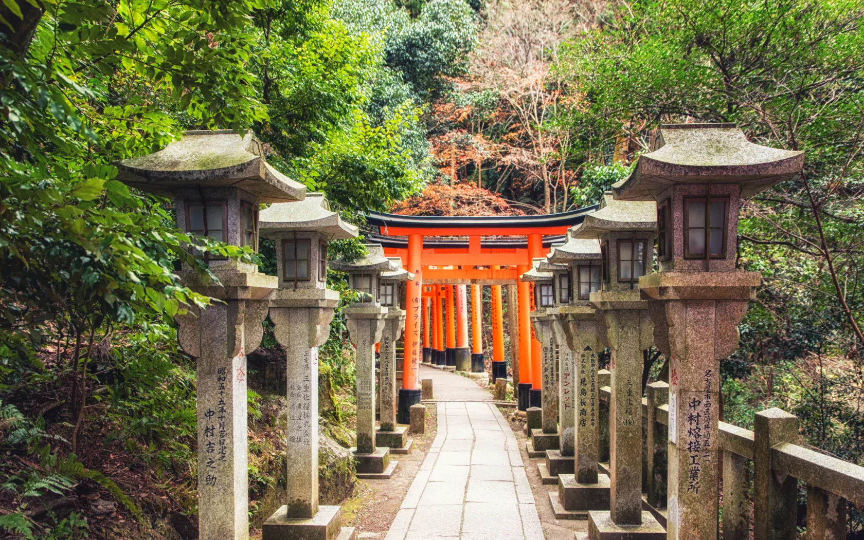 A stone lantern-lined path leads to a series of red torii gates set in a lush, green forest.