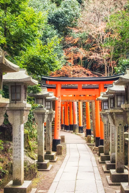 A stone lantern-lined path leads to a series of red torii gates set in a lush, green forest.
