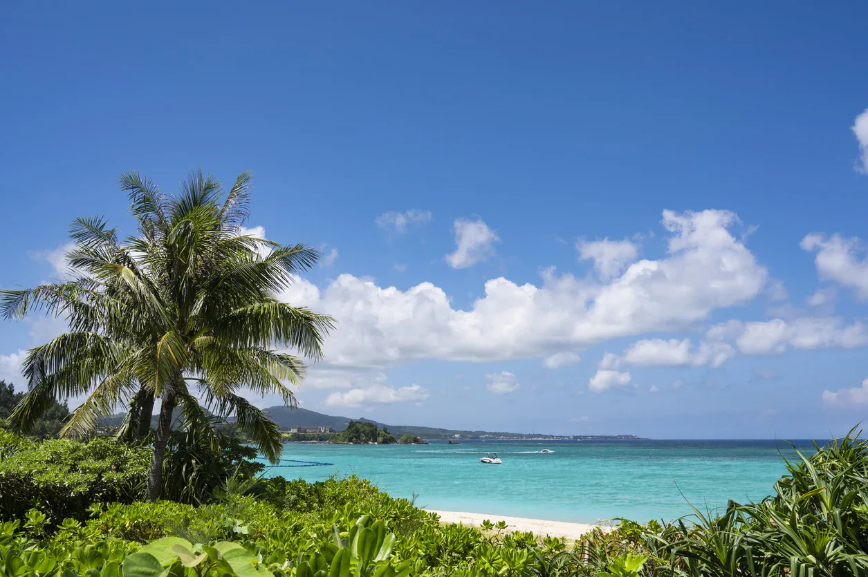 Tropical beach with clear turquoise water, lush green vegetation, a palm tree, and boats on the ocean under a bright blue sky with scattered clouds.