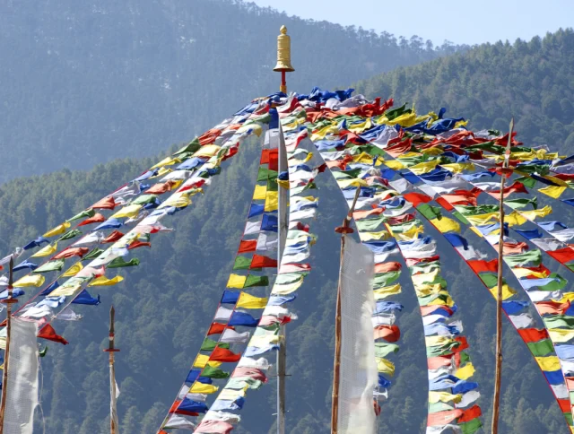 Colorful prayer flags are strung from a central pole, with forested mountains and a clear sky in the background.