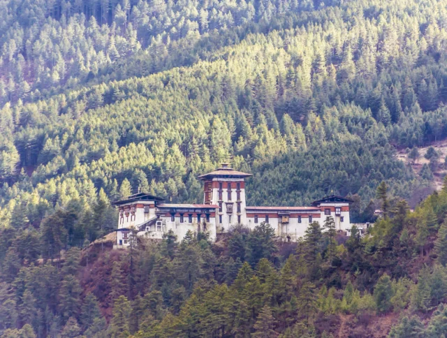 A large white building with traditional architecture stands surrounded by dense green forest on a hillside.