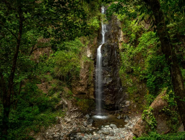 A narrow waterfall cascades down a rocky cliff surrounded by dense green foliage and trees, ending in a small pool with scattered rocks.