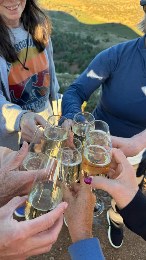 A group of people clinks glasses of champagne outdoors, with hills and greenery visible in the background.
