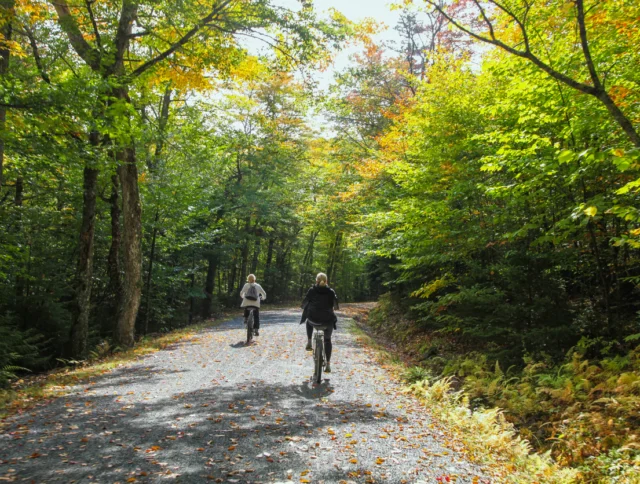 Two people ride bicycles along a gravel path through a wooded area with sunlight filtering through green and yellow leaves.