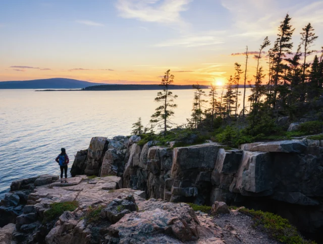 A person stands on rocky cliffs overlooking the ocean at sunset, with pine trees and distant hills in the background.
