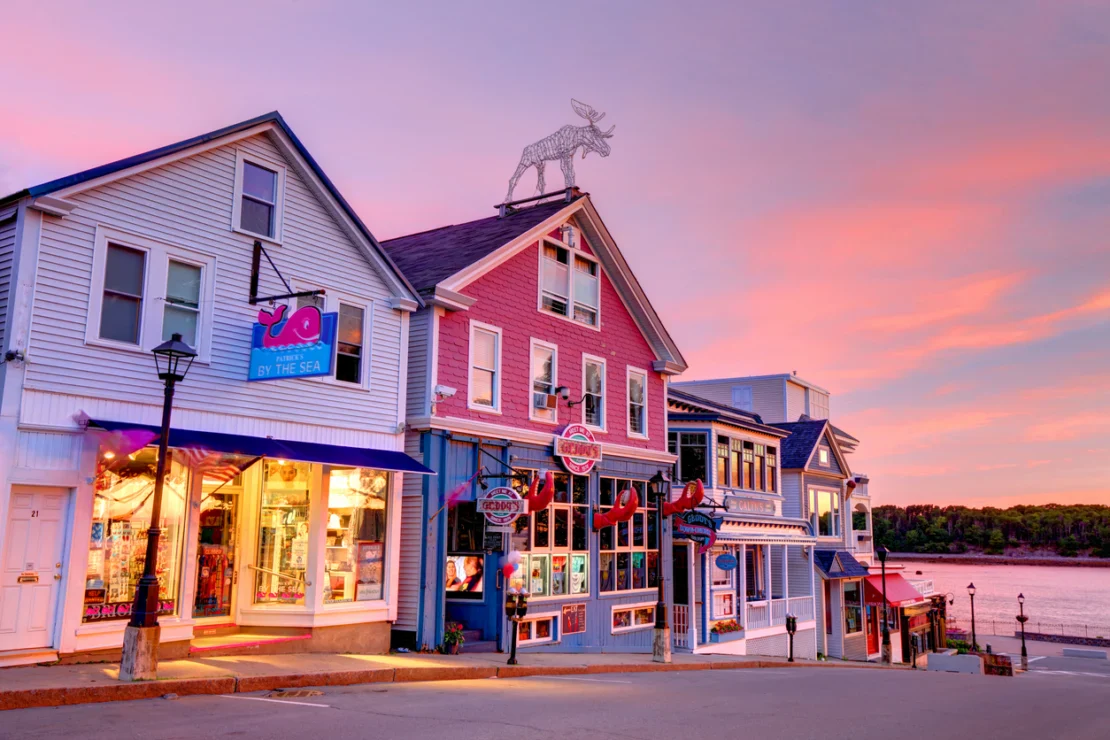 Colorful shops with large windows and a moose statue on the roof line a sloped street near the water at sunset.