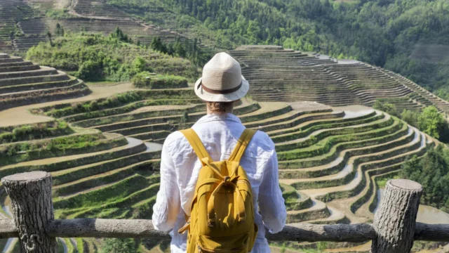 A person with a yellow backpack and hat stands at a wooden fence, overlooking green terraced rice fields on a hillside.