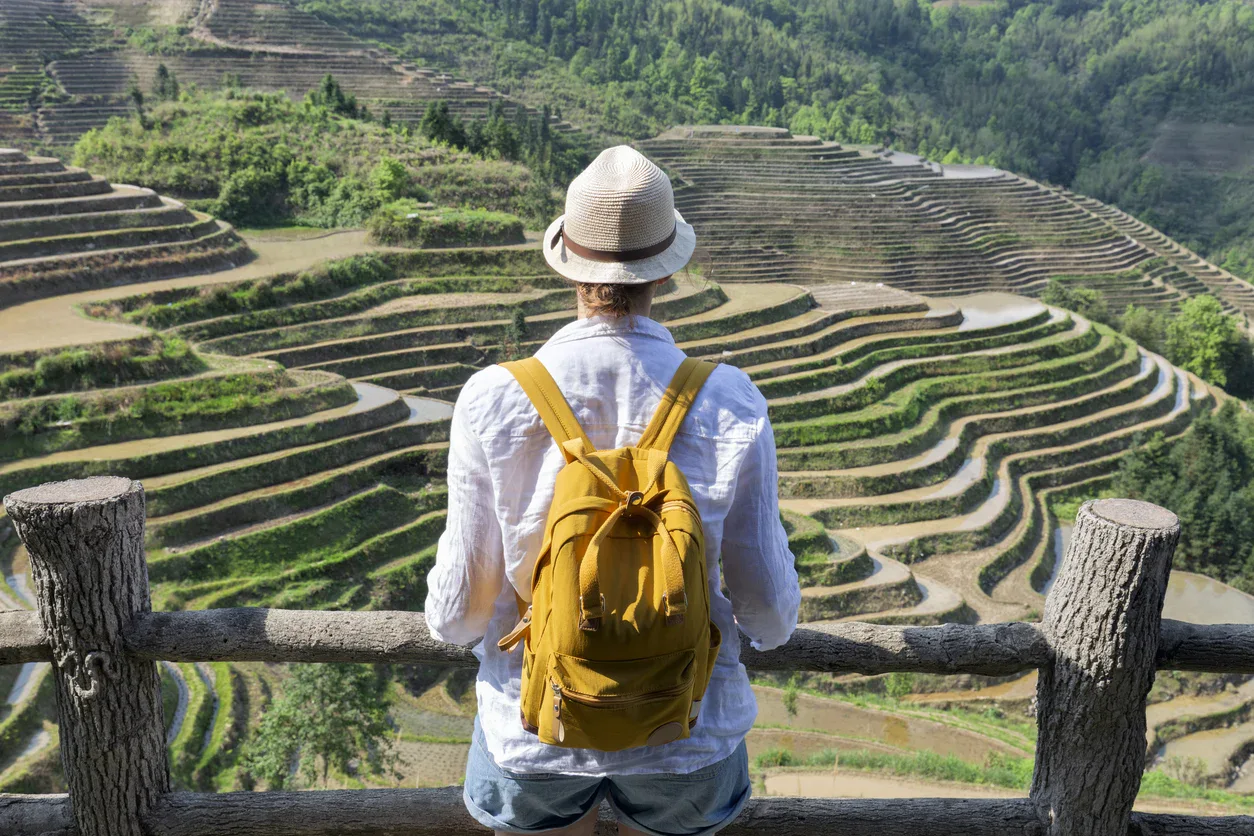 A person with a yellow backpack and hat stands at a wooden fence, overlooking green terraced rice fields on a hillside.