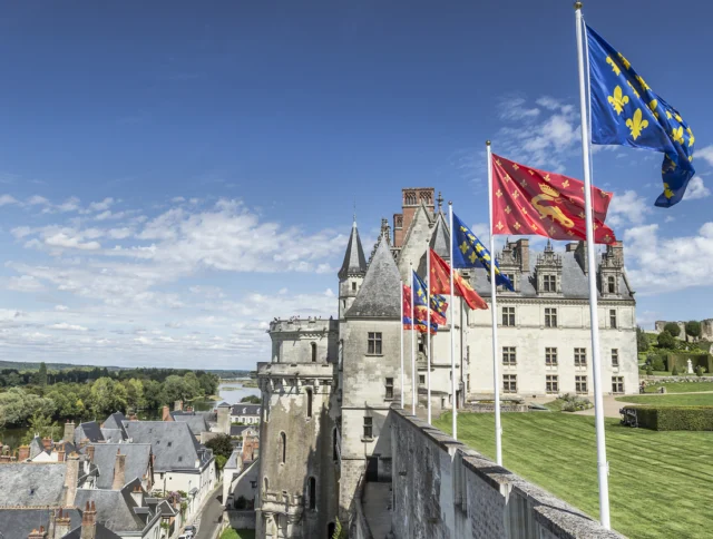 A historic stone château with pointed towers stands on a hill, with several colorful medieval flags flying and a view of rooftops, river, and trees in the background.
