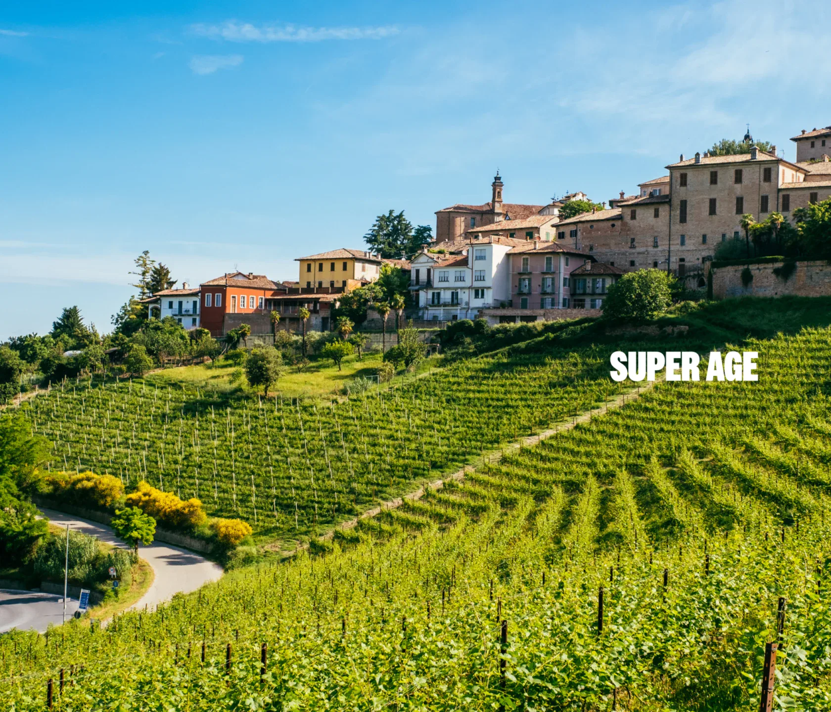 Vineyard with rows of grapevines on a hillside, a winding road, and a cluster of buildings under a blue sky; "SUPER AGE" text appears over the vineyard.