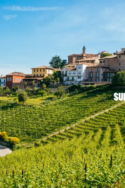 Vineyard with rows of grapevines on a hillside, a winding road, and a cluster of buildings under a blue sky; "SUPER AGE" text appears over the vineyard.